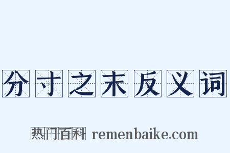 分寸之末反义词是什么意思的图片